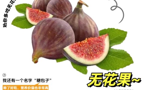 茶油洗头的功效和作用及禁忌-茶油洗头的功效和作用网—知名的茶油有什么功效与作用 茶油怎么吃网站,分享茶油炒蛋的作用与功效知识